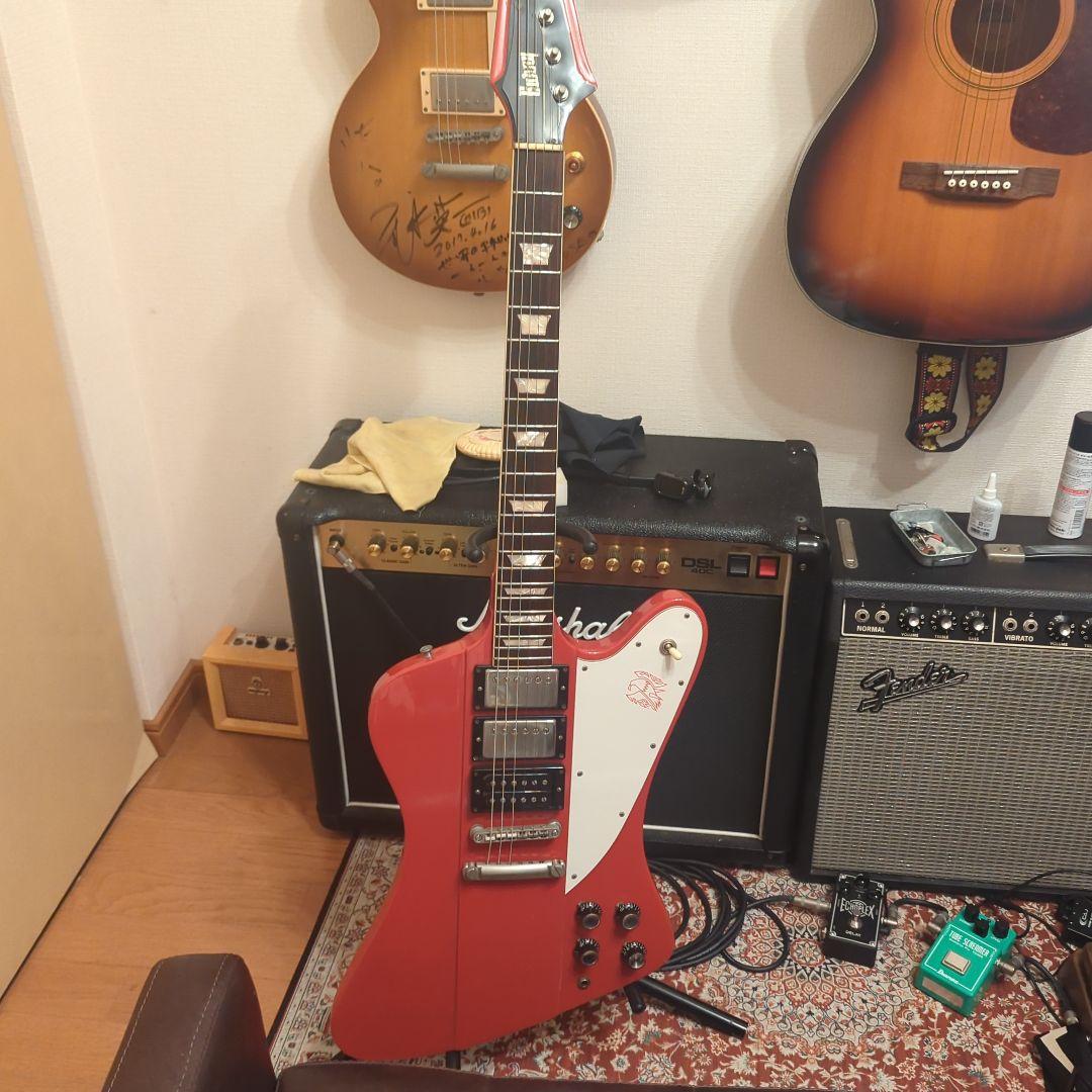 ぴ*〜様 Bunnyバーニー　ファイヤーバード 専用ソフトケース付き