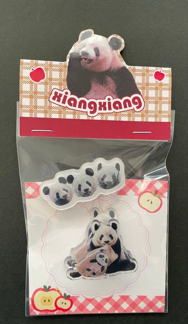 専用　シャンシャン　彩浜　楓浜