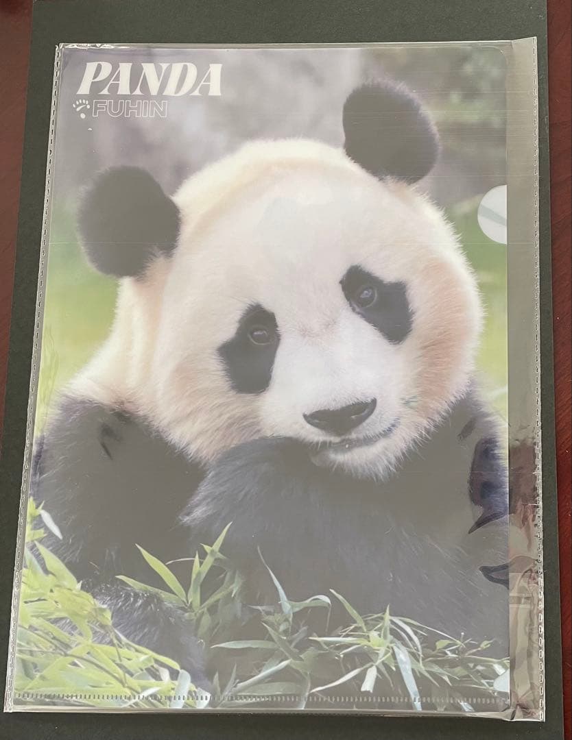 専用　シャンシャン　彩浜　楓浜