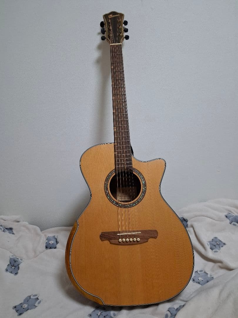 （専用）アコースティックギター　ROSSO R-5 IS18982909