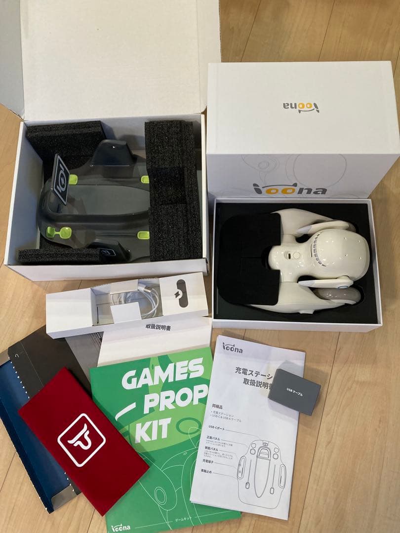 Loona ルーナ　ロボット