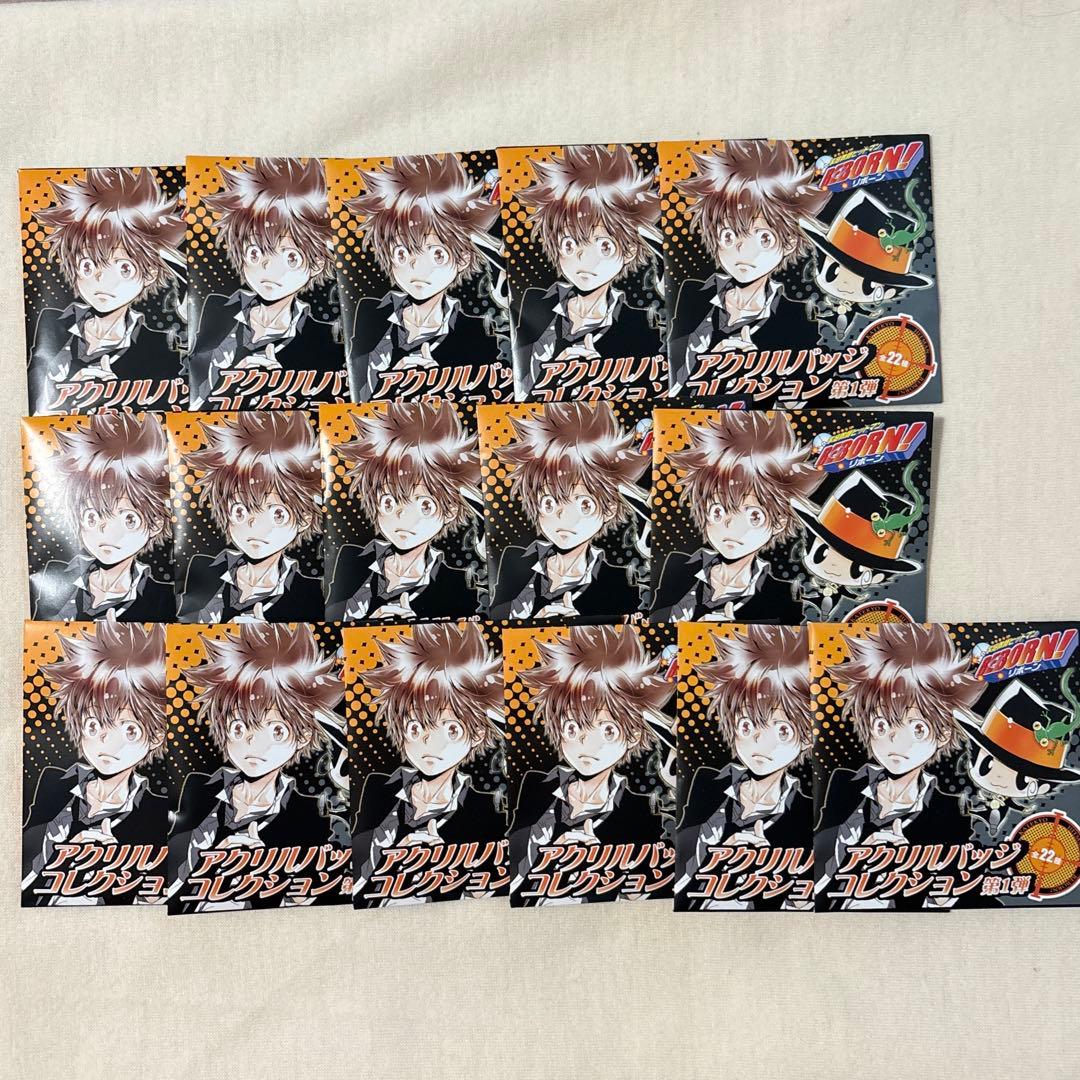 家庭教師ヒットマンreborn アクリルバッジコレクション　未開封　16点