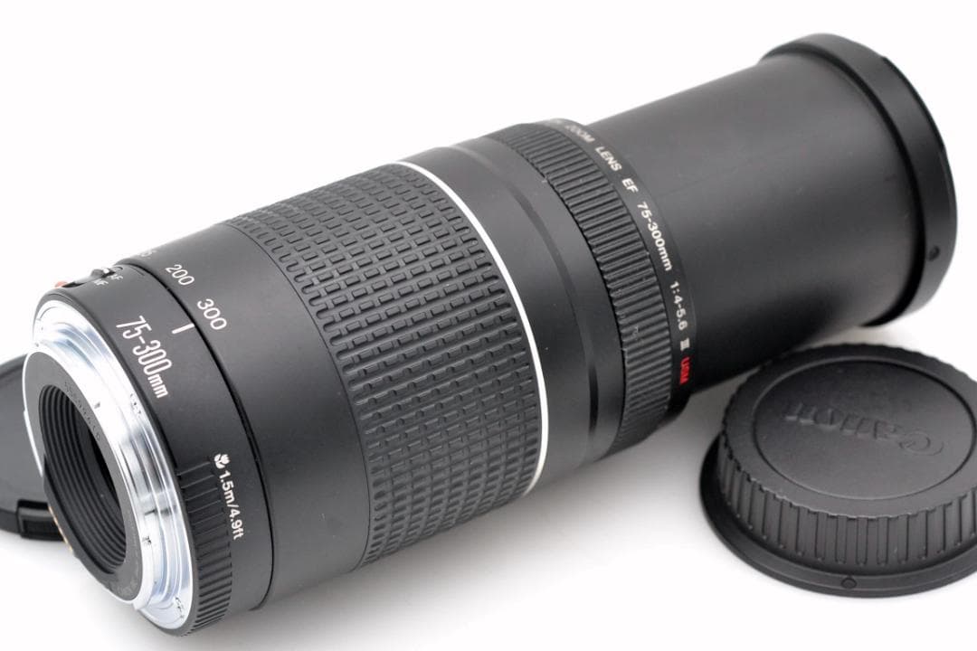レンズ(ズーム) Canon EF 75-300mm 4-5.6 III USM (4)