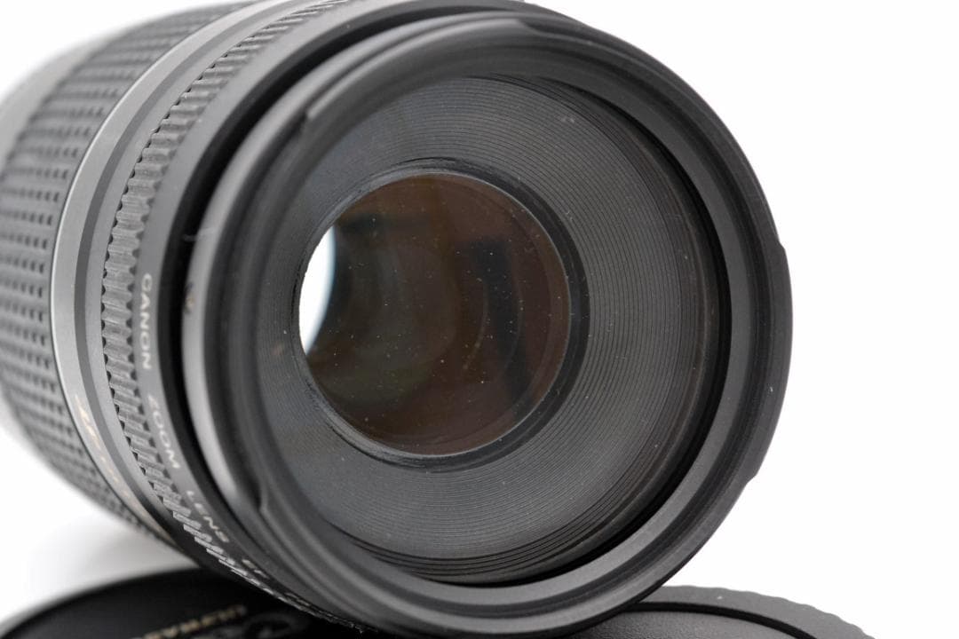 レンズ(ズーム) Canon EF 75-300mm 4-5.6 III USM (4)