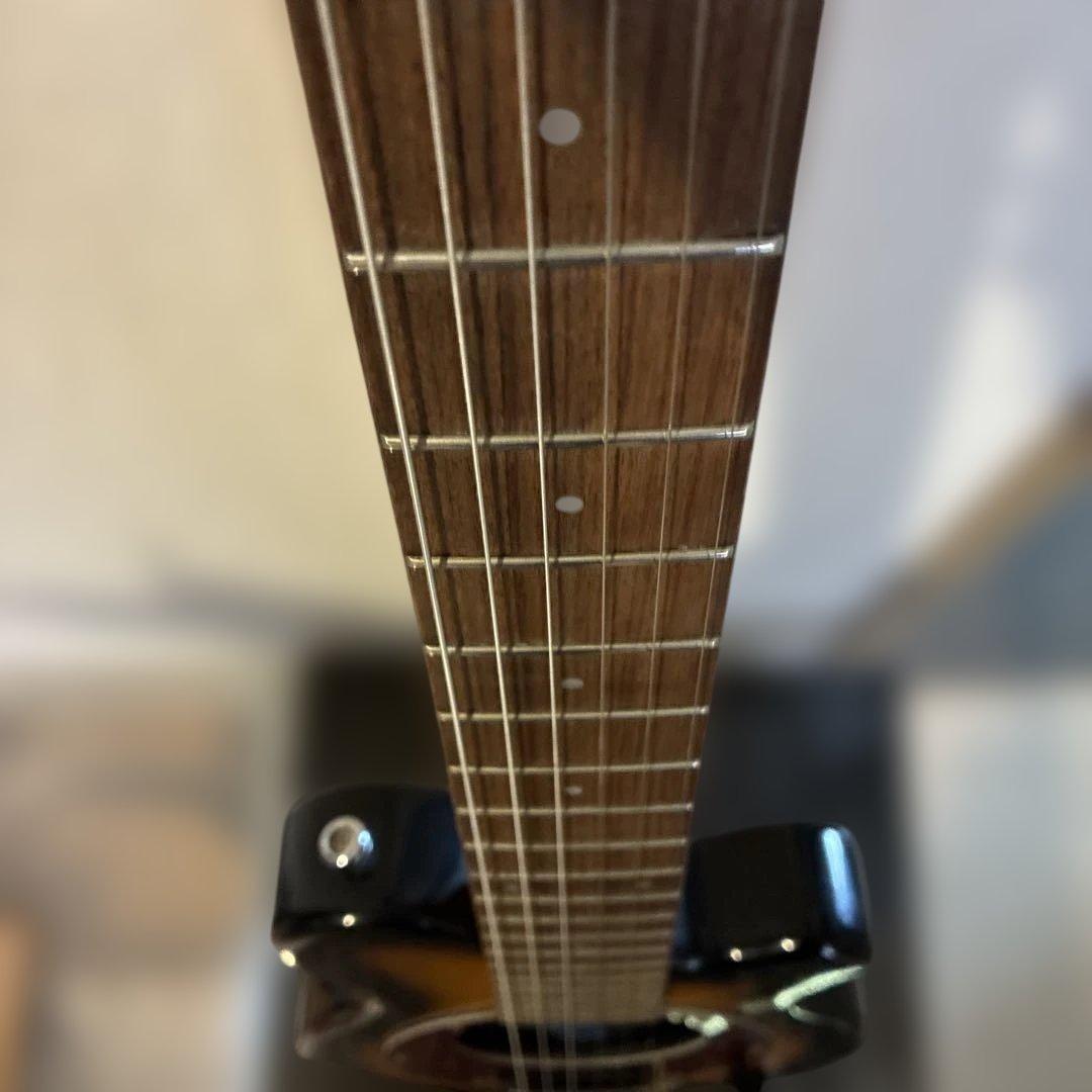 ピグノーズPGG100 サンバースト