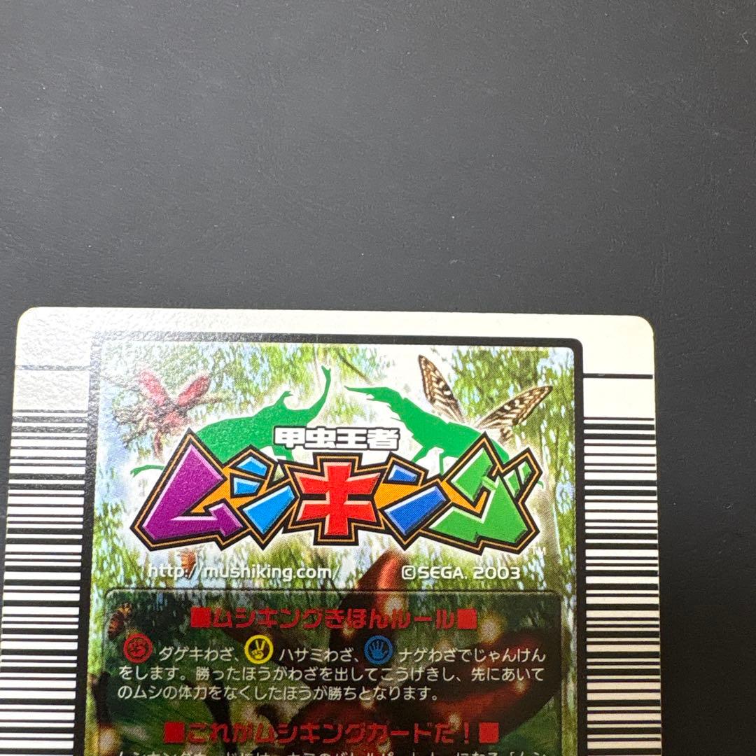 ムシキング　タランドゥスツヤクワガタ トレーディングカード 029
