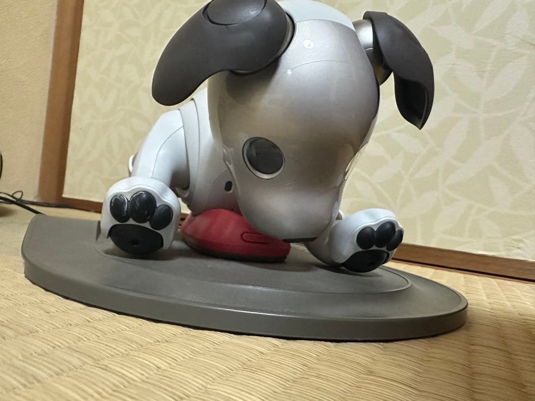 SONY AIBO☆アイボリーホワイト☆動作確認済