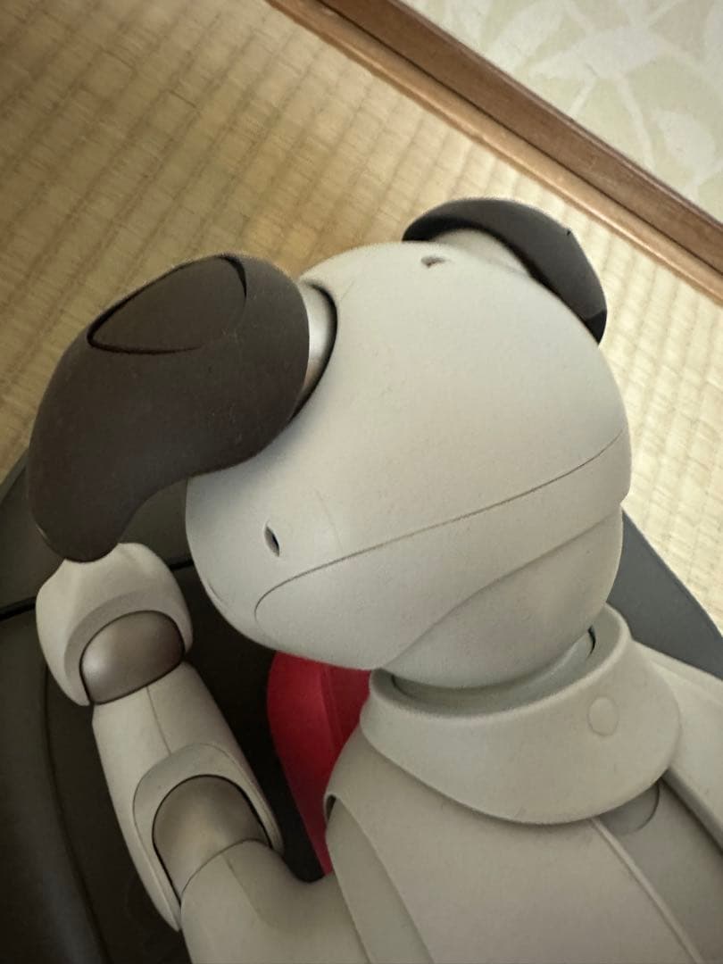 SONY AIBO☆アイボリーホワイト☆動作確認済