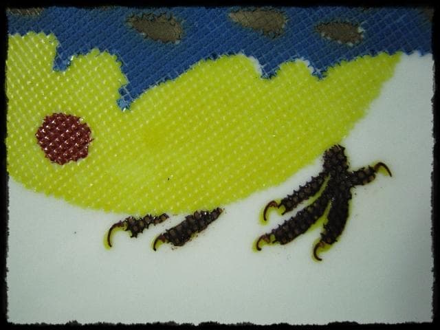 色絵 飾皿 武腰 昭一郎 九谷庄三洞 四代 善平 師北出塔次郎 茶道具 d180