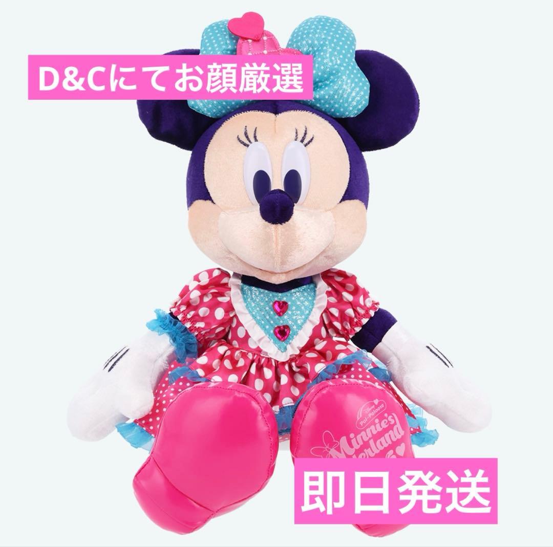 【お写真更新】ミニー　ぬいぐるみ　パルパルーザ　ミニー　ファンダーランド