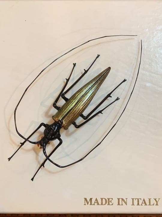 ベネチアンガラス　巨匠ヴィットリオ・コスタンティーニ　カミキリムシ