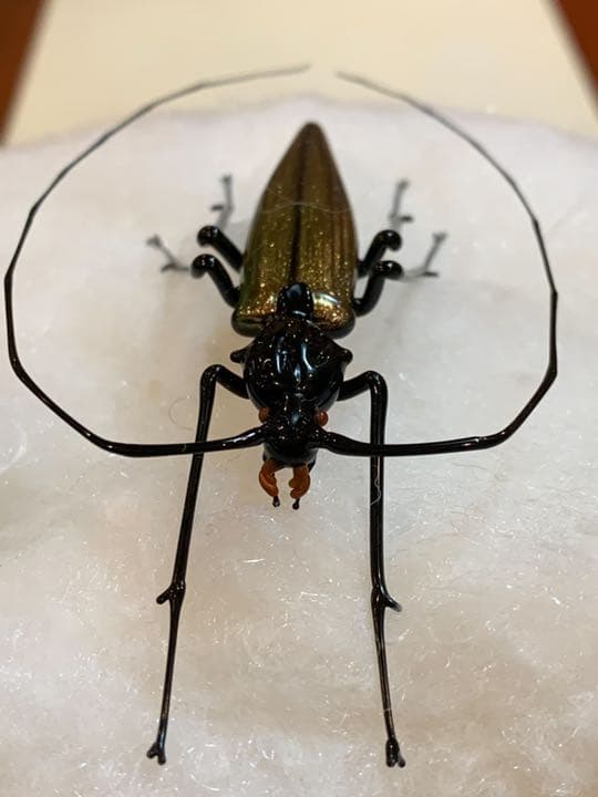 ベネチアンガラス　巨匠ヴィットリオ・コスタンティーニ　カミキリムシ