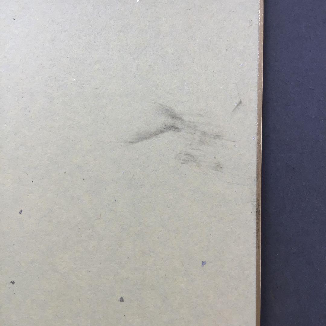 色紙　臨済宗相国寺　記念　松國大龍　畳紙　配送用袋　S1030SSD