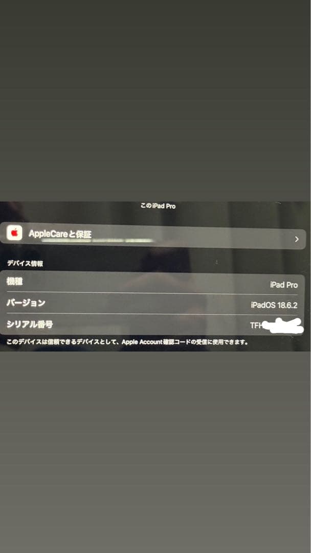 iPad Pro (第3世代) 11インチ スペースグレイ 本体