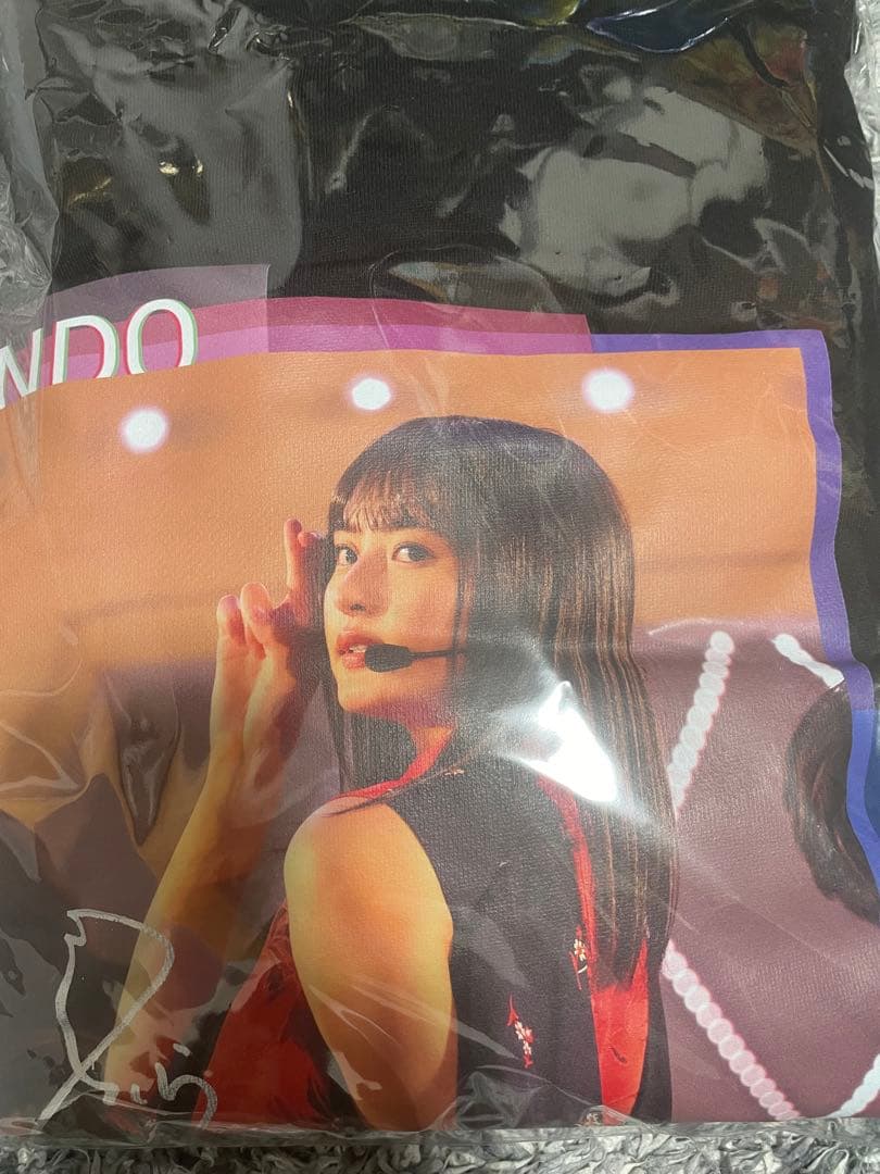 遠藤さくら 直筆サイン入り 乃木フェスオリジナルパーカー (証明書付き)