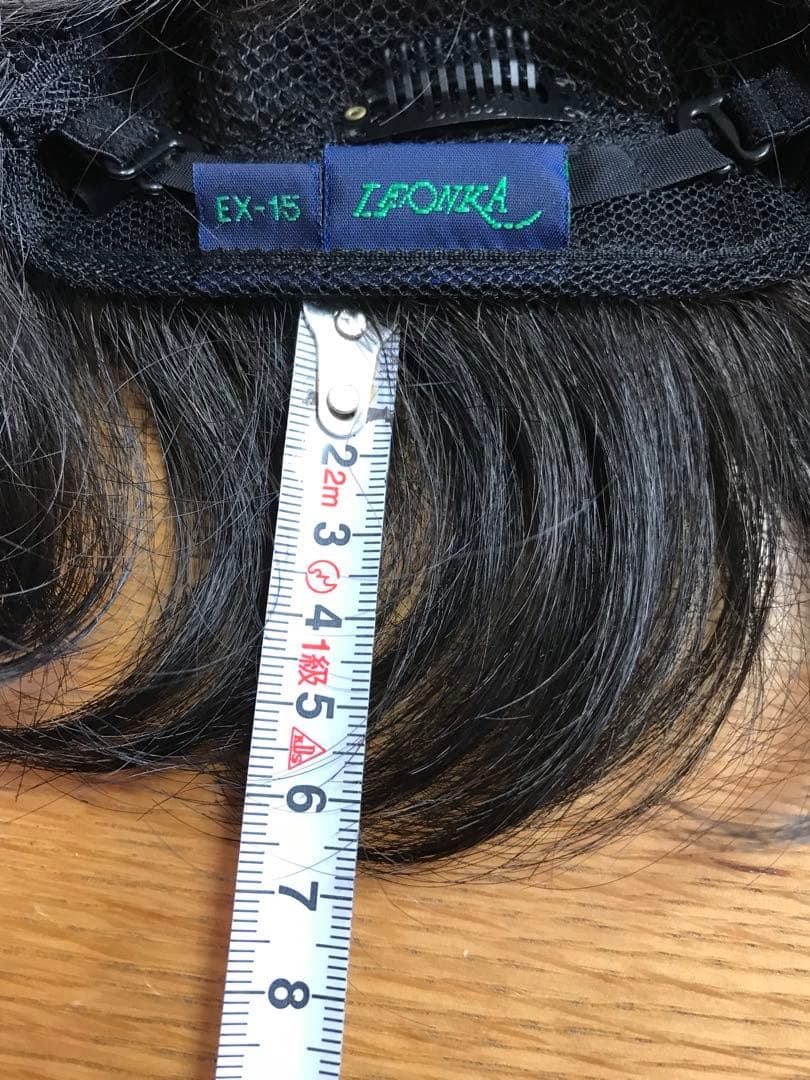 フェザー レオンカウィッグ EX-15 F4モダアクリル人毛