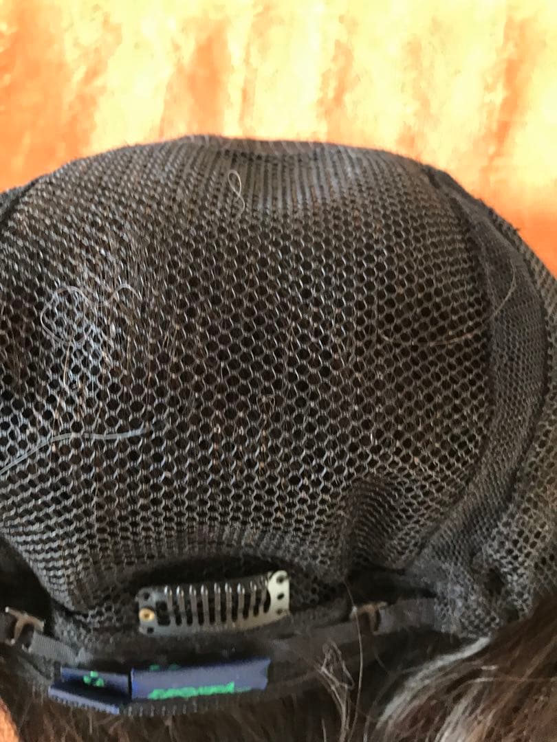 フェザー レオンカウィッグ EX-15 F4モダアクリル人毛