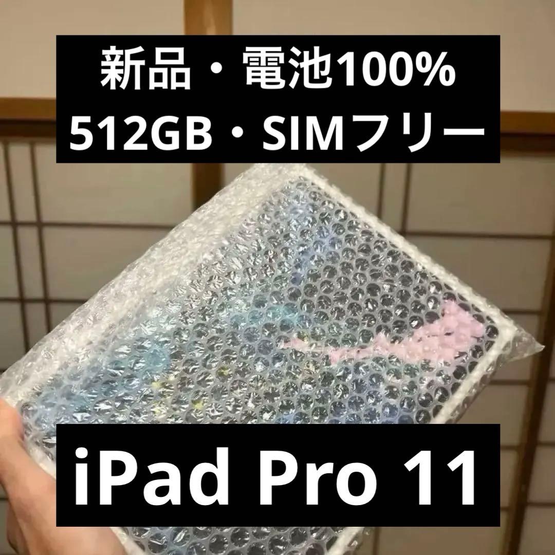 iPad Pro 11インチ 第1 512GB SIMフリー AppleCare