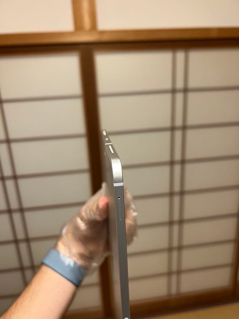 iPad Pro 11インチ 第1 512GB SIMフリー AppleCare