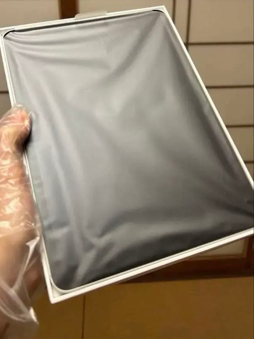 iPad Pro 11インチ 第1 512GB SIMフリー AppleCare