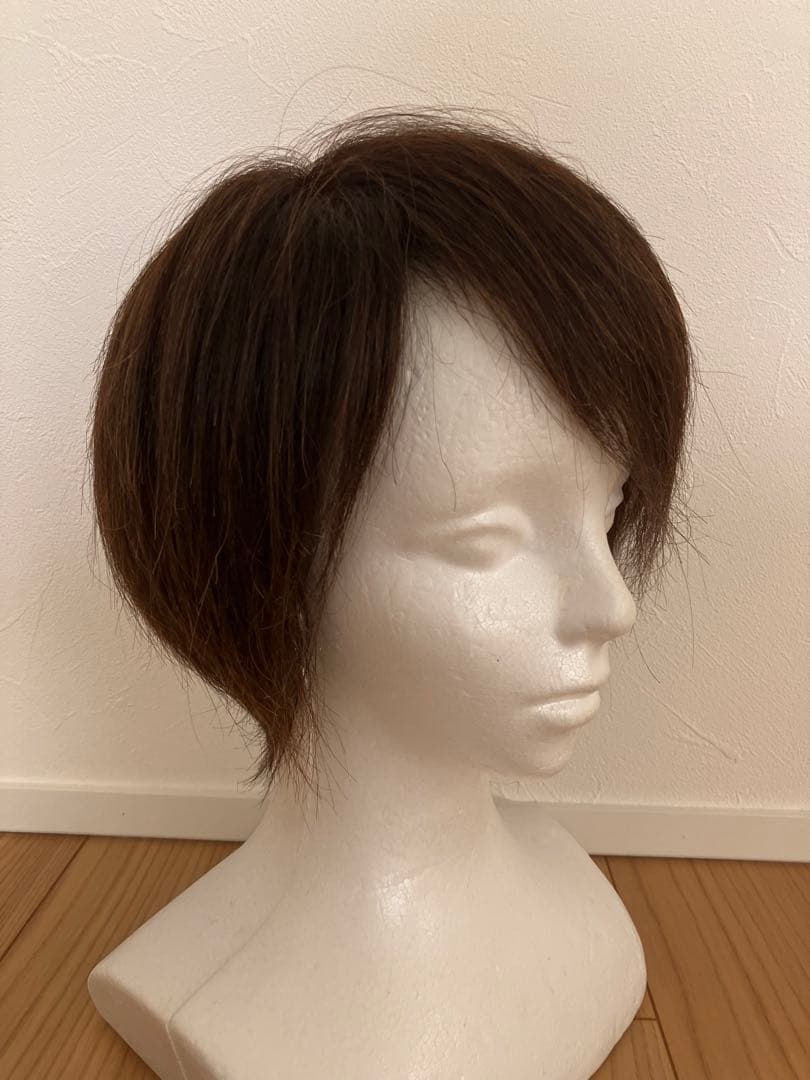 【お値下げ】医療用　フルウィッグ　人毛100％　ダークブラウン