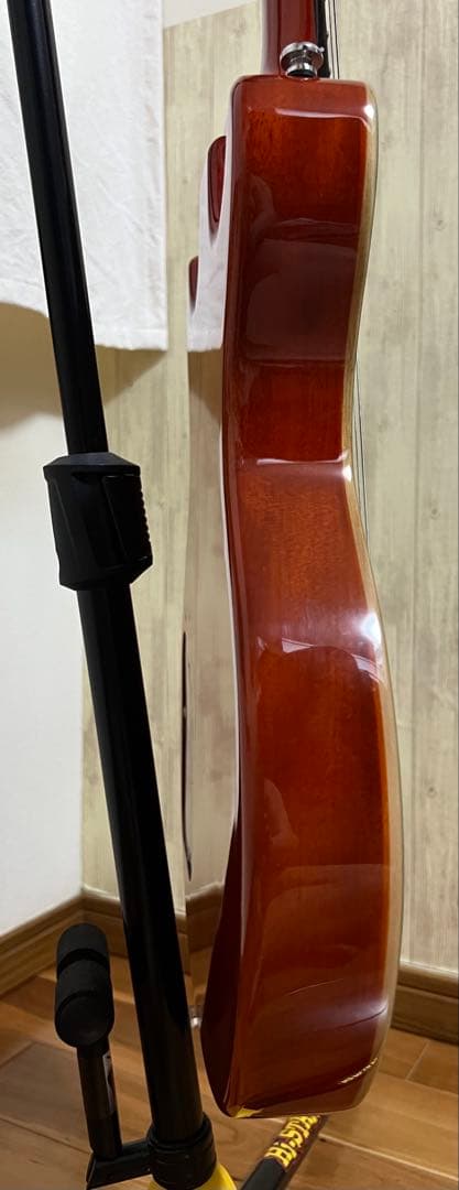 GrassRoots G-SR-IGUANA 横山健 モデル