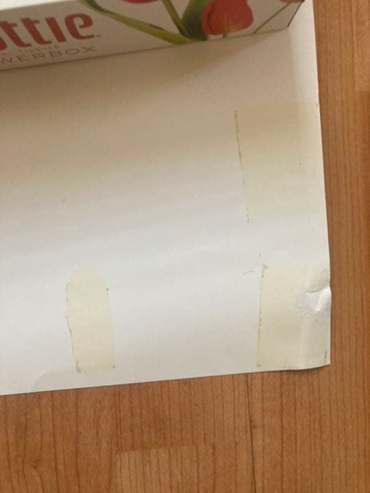 バンドリ　非売品　ポスター