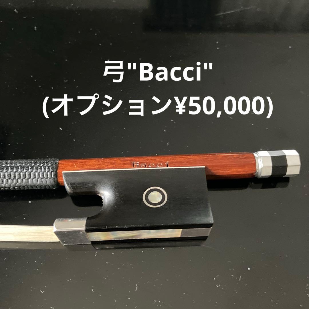 バイオリン本体(メンテナンス済み)