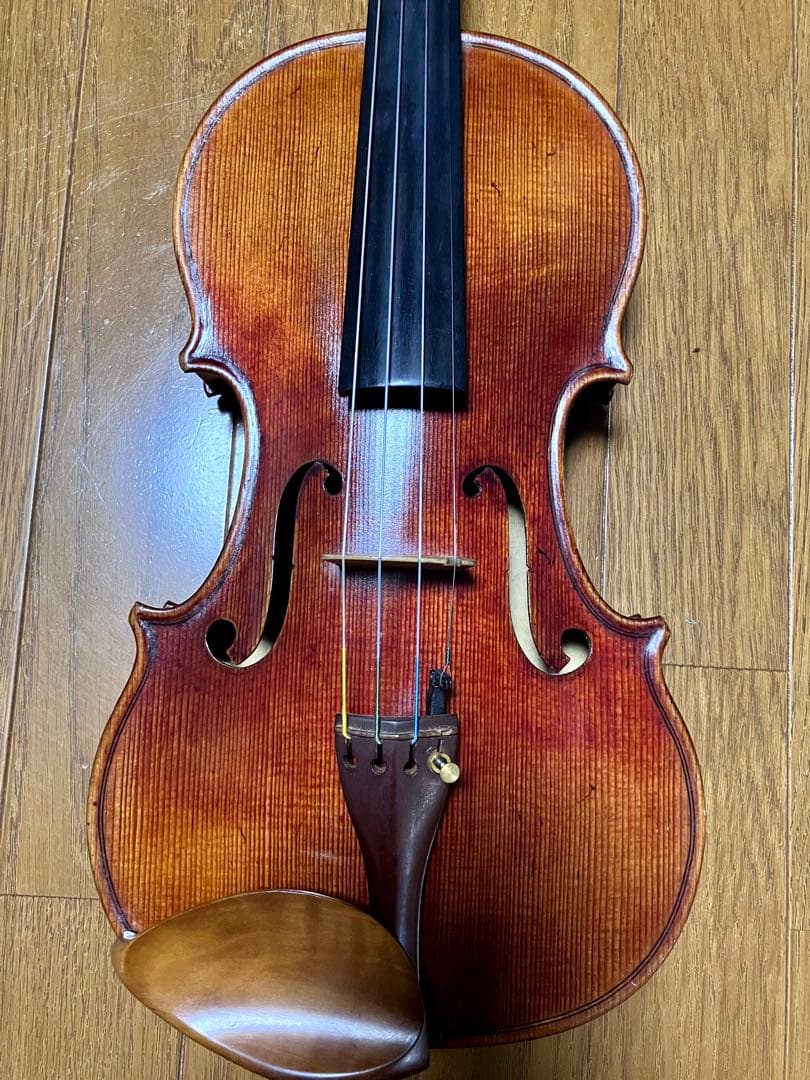 バイオリン本体(メンテナンス済み)
