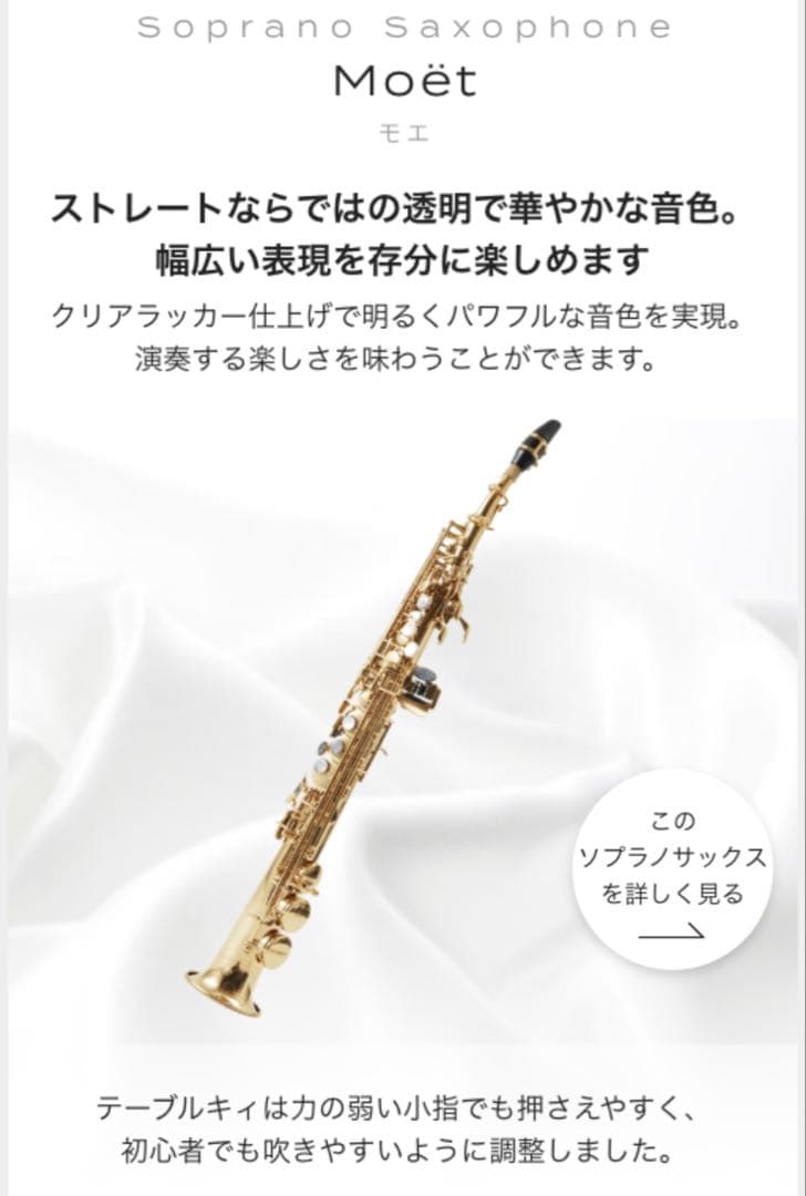 ソプラノサックス 本体 ソフトケース付き