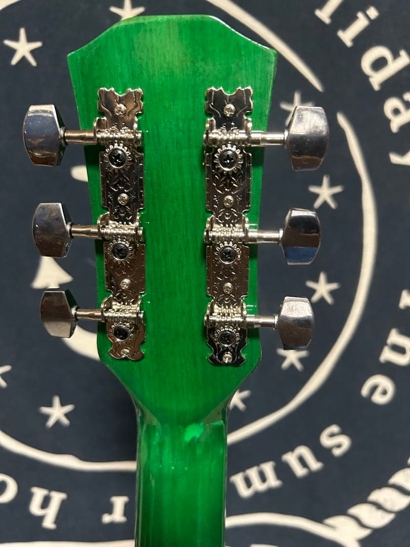 今月末迄　特価‼️新品未使用グリーン　タイガーグラフィック　アコースティックギター