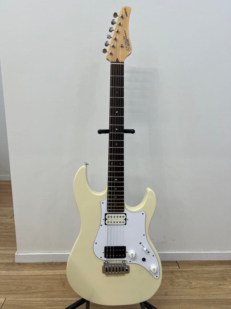 フジゲン（fujigen）セミオーダー　funkおじさんピックアップ