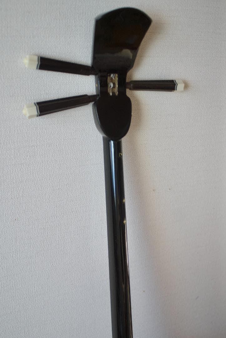 三線　沖縄　本皮強化張り ソフトケース付　初心者　三味線　送料込み