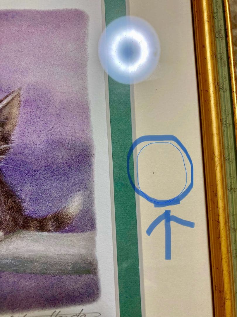 ♬未使用♬わちふぃーるど♬ダヤン♬版画♬限定250部♬ぼくうちへ帰ろう！サイン♬