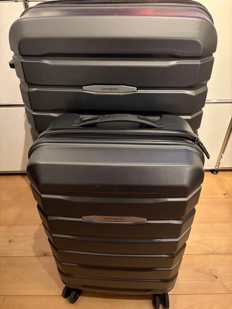 Samsonite グレー キャリーケース 112Lと41L