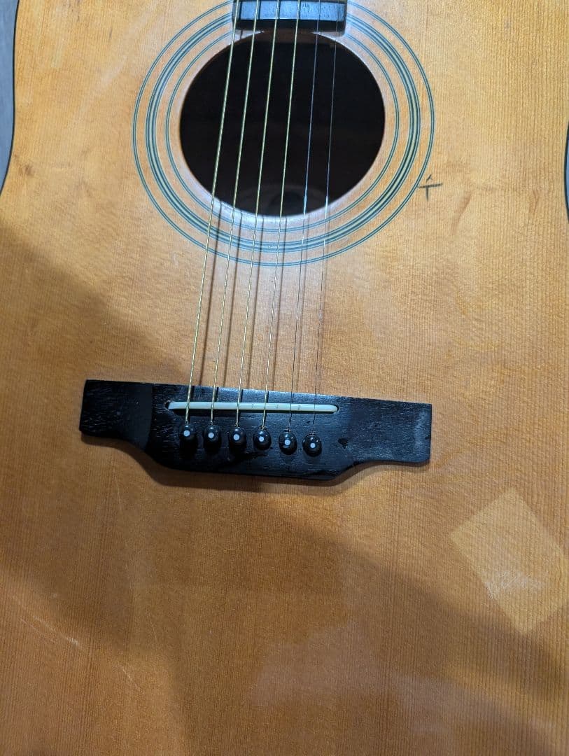 良音/Epiphone　PR-200 改Fishmanエレアコ