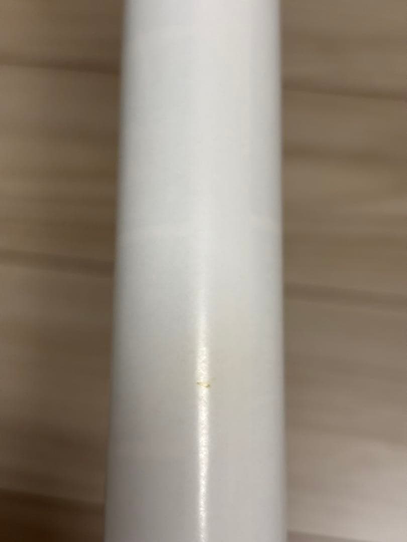 【超希少】バイオハザード4 販促ポスターB2