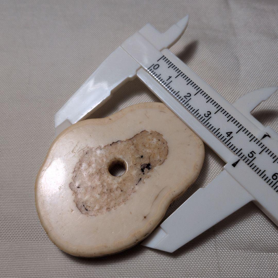 セイウチ牙 根付