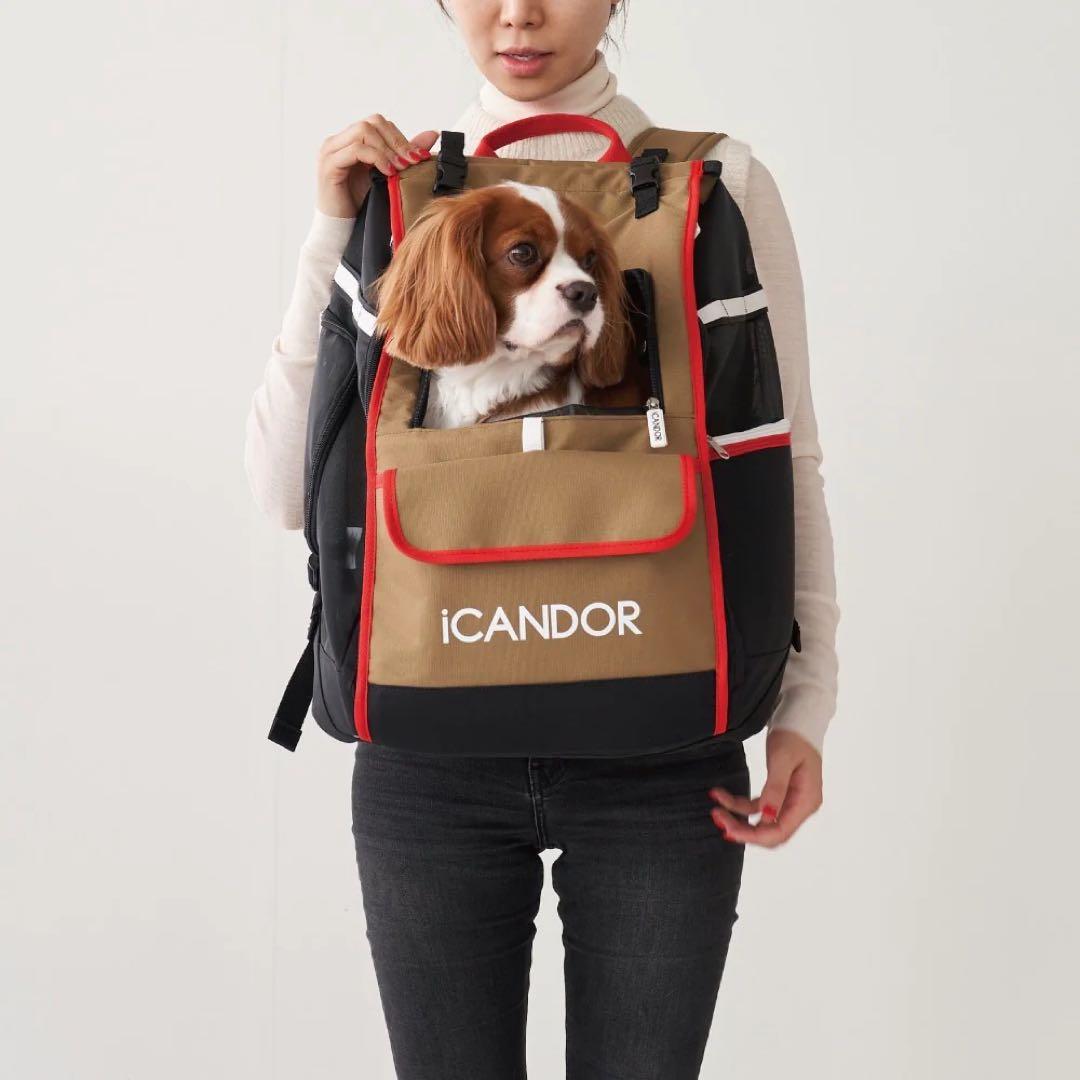 iCANDORのバッグJIGE キャリーバッグ