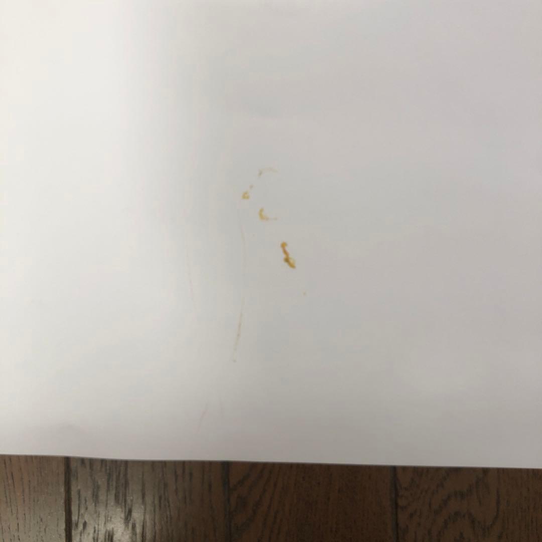 【Ryo】天明屋尚　2006 FIFAワールドカップオフィシャルポスター