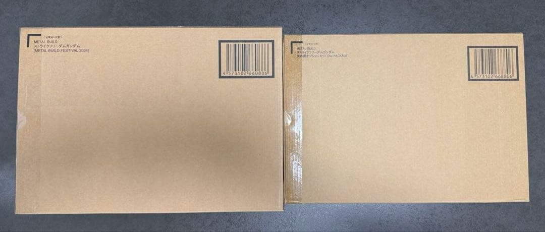 【輸送箱未開封】ストフリ2024&光の翼セット【メタルビルド】