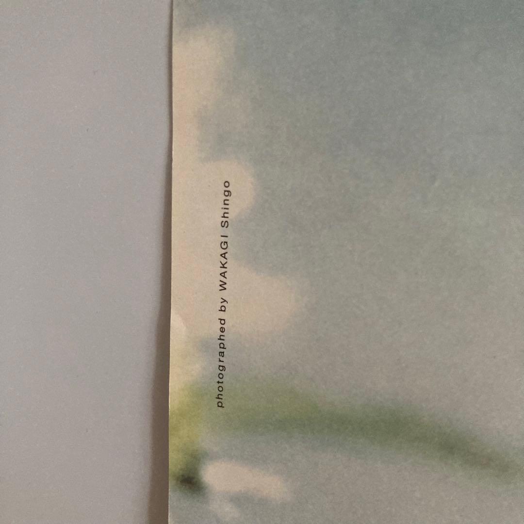 映画 DISTANCE ディスタンス B2ポスター 是枝裕和