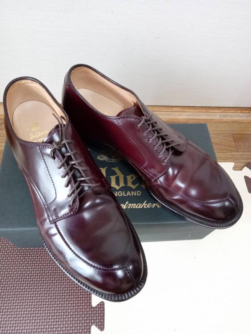ALDEN　オールデン　54321　Vチップ 　バーガンディコードバン　US8