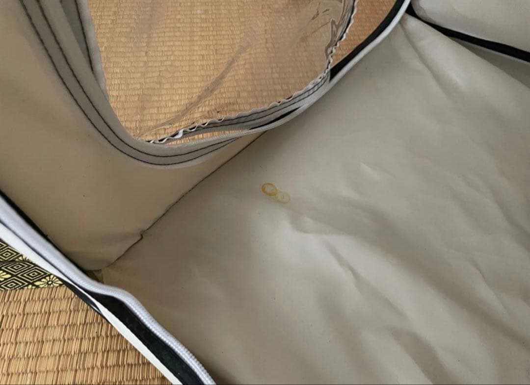 ペット用酸素室、酸素濃縮器のセット