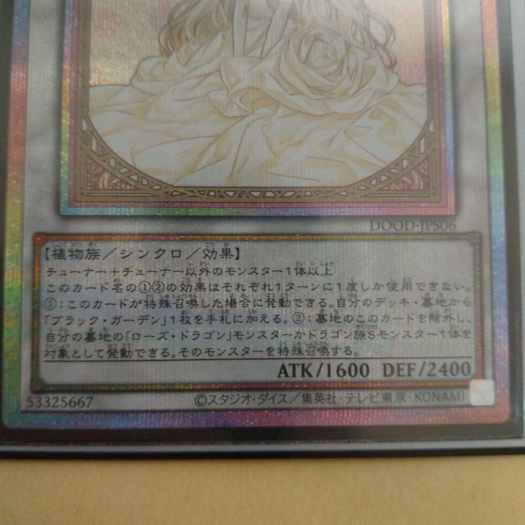 ア*ハ様 ガーデン・ローズ・メイデン 絵違い プリシク 即日発送