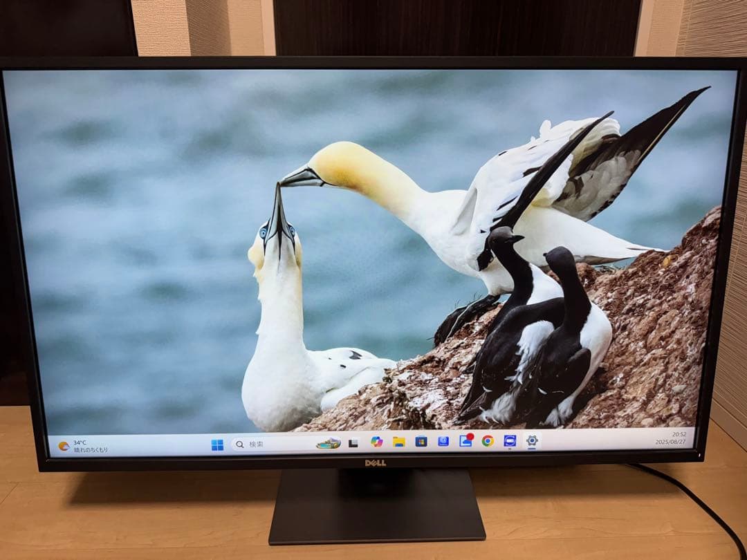 DELL P4317Q 43インチ4Kモニター