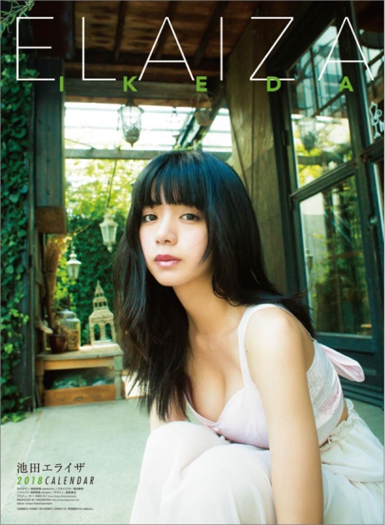 【未開封】池田エライザ カレンダー2018 サイン入り