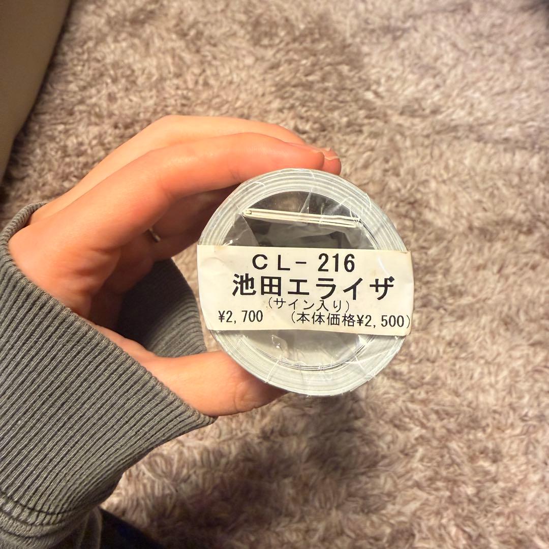【未開封】池田エライザ カレンダー2018 サイン入り