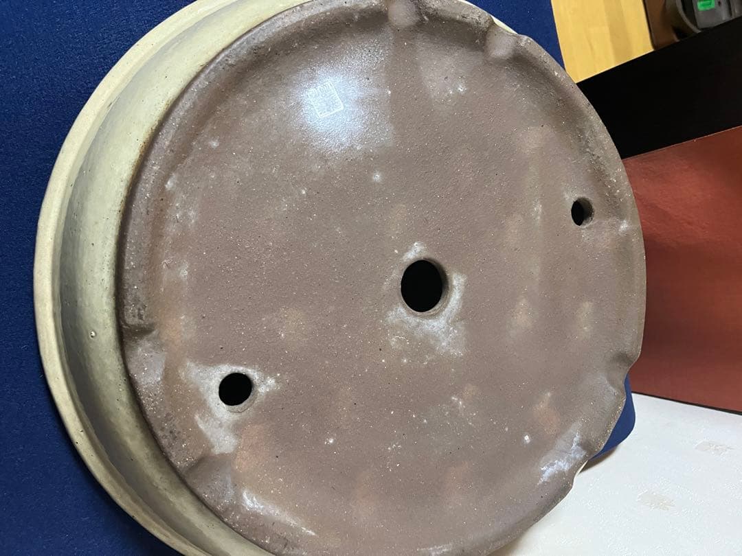 997 盆栽　盆栽鉢　植木鉢　中国鉢　白交趾