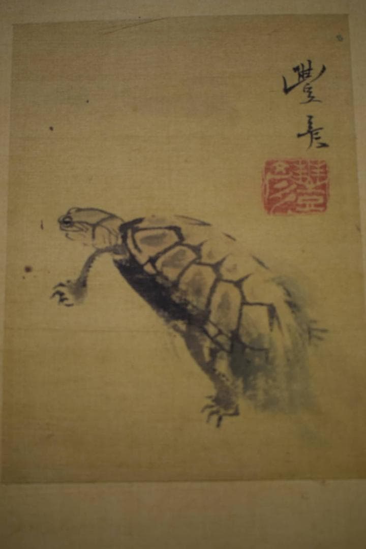 真作/岡本豊彦/亀之図/布袋屋掛軸HG-857